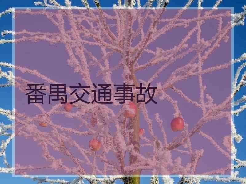 番禺交通事故