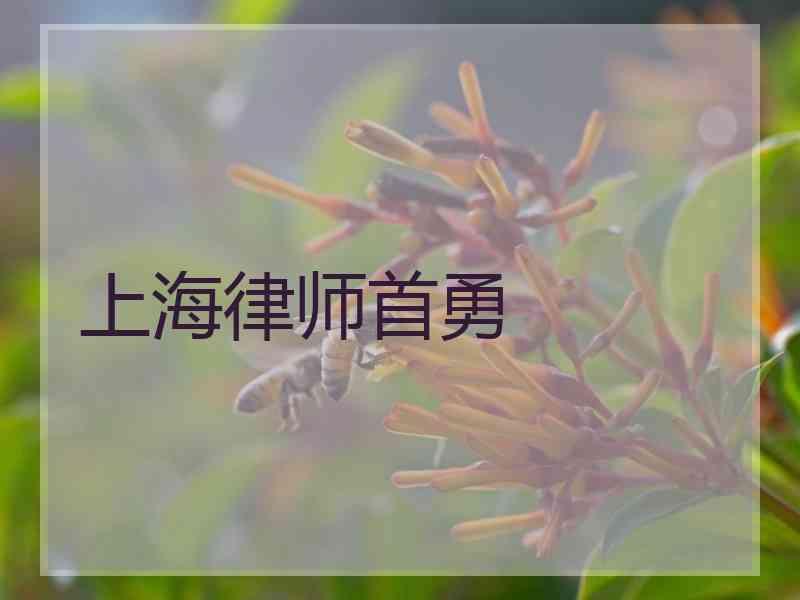 上海律师首勇