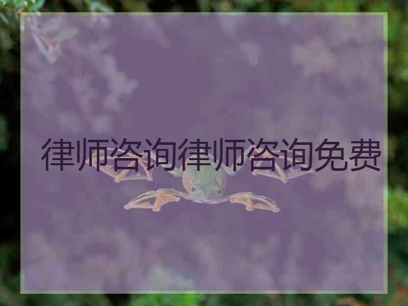 律师咨询律师咨询免费