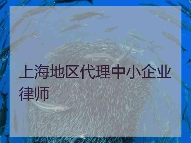 上海地区代理中小企业律师