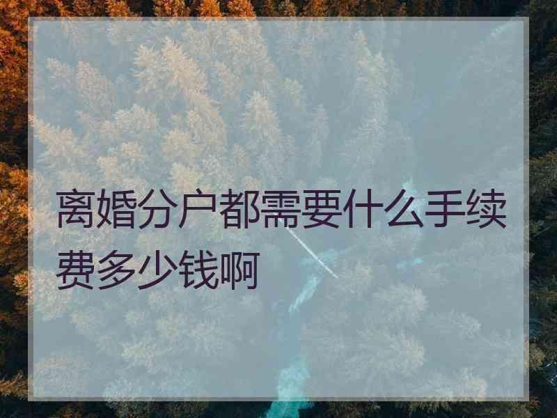 离婚分户都需要什么手续费多少钱啊