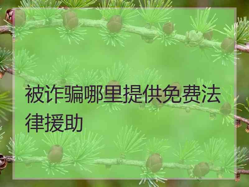 被诈骗哪里提供免费法律援助