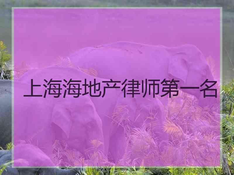 上海海地产律师第一名