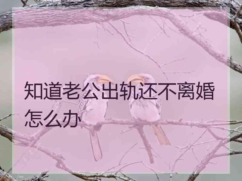 知道老公出轨还不离婚怎么办