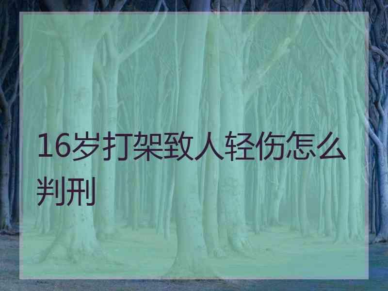 16岁打架致人轻伤怎么判刑