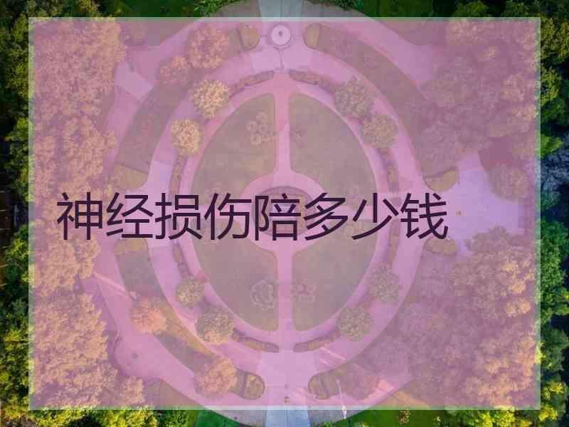 神经损伤陪多少钱