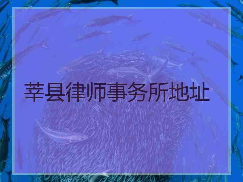 莘县律师事务所地址