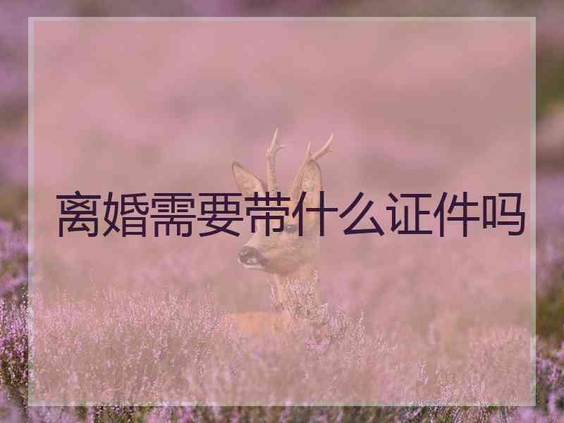 离婚需要带什么证件吗