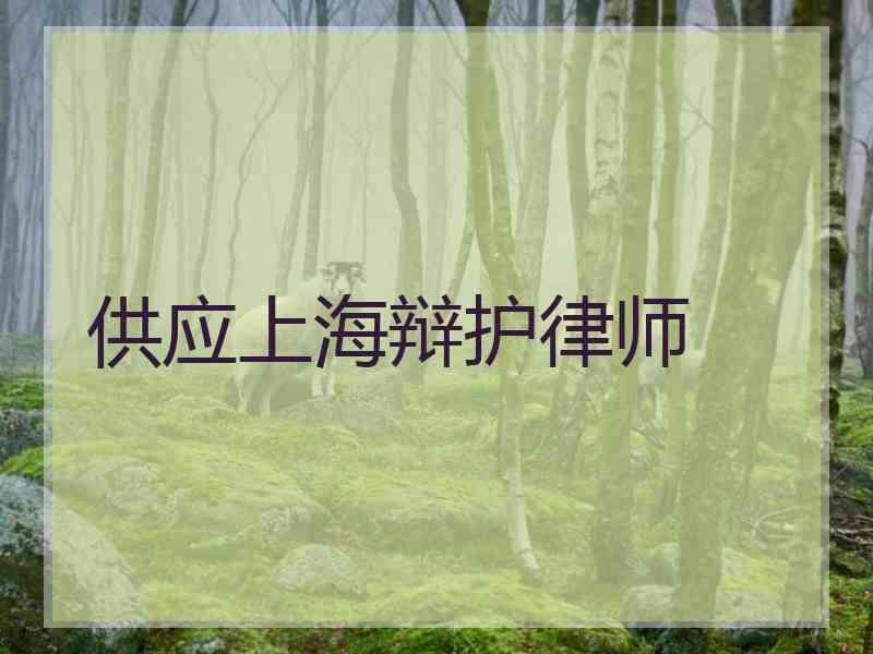 供应上海辩护律师