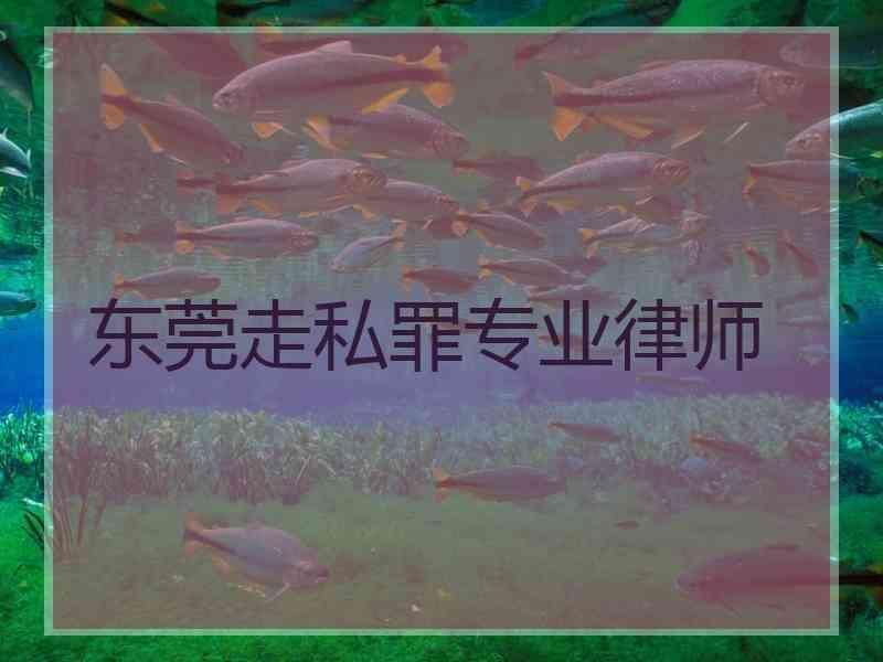 东莞走私罪专业律师