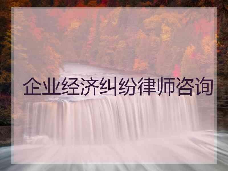 企业经济纠纷律师咨询