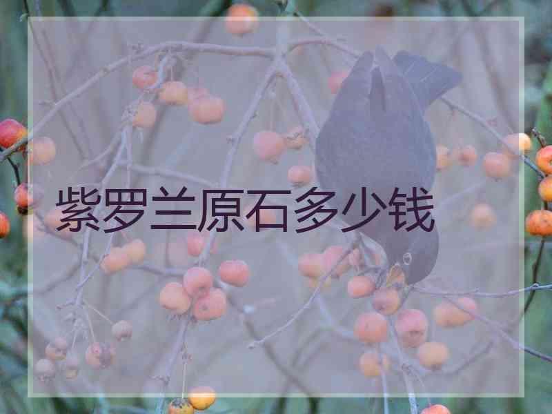 如果质地细腻紫罗兰原石价格,水头好,透明度比较好的紫罗兰翡翠原石