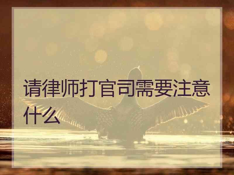 请律师打官司需要注意什么