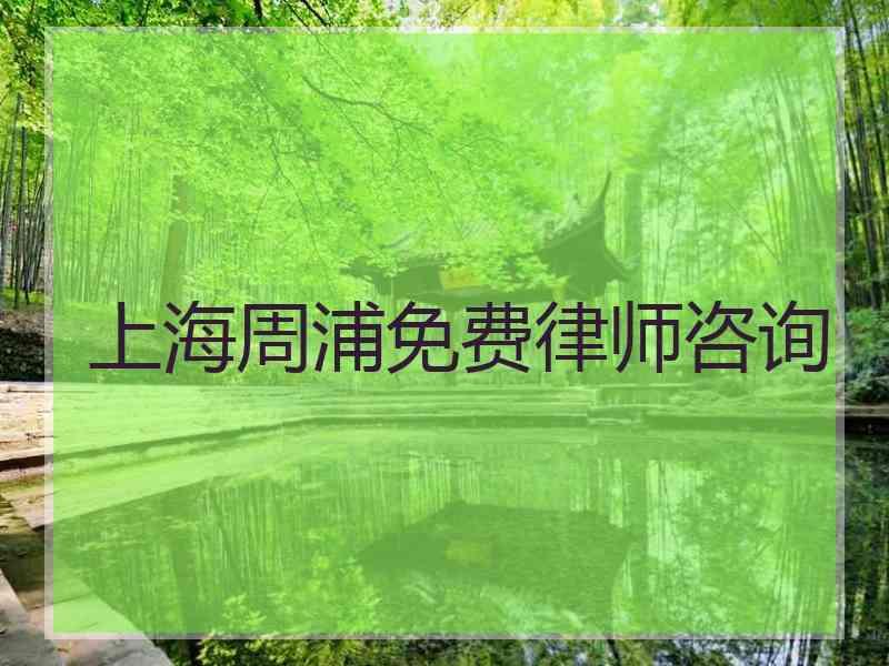 上海周浦免费律师咨询