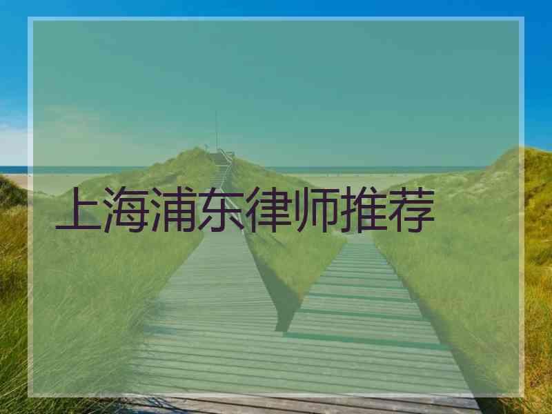 上海浦东律师推荐