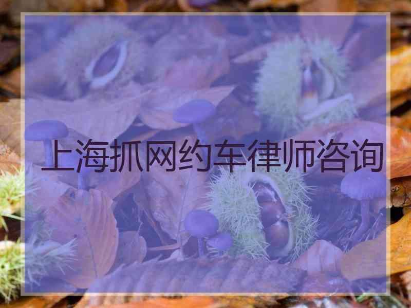 上海抓网约车律师咨询