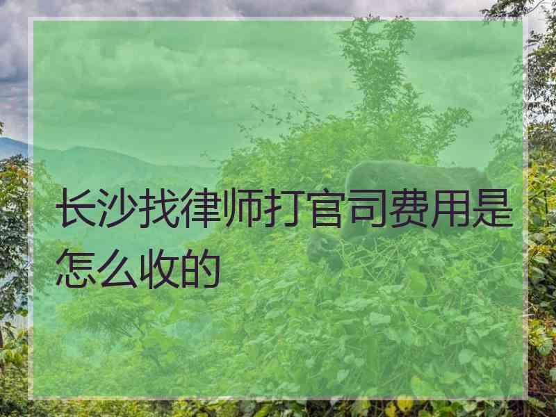 长沙找律师打官司费用是怎么收的