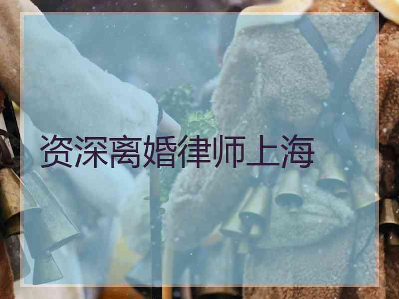 资深离婚律师上海