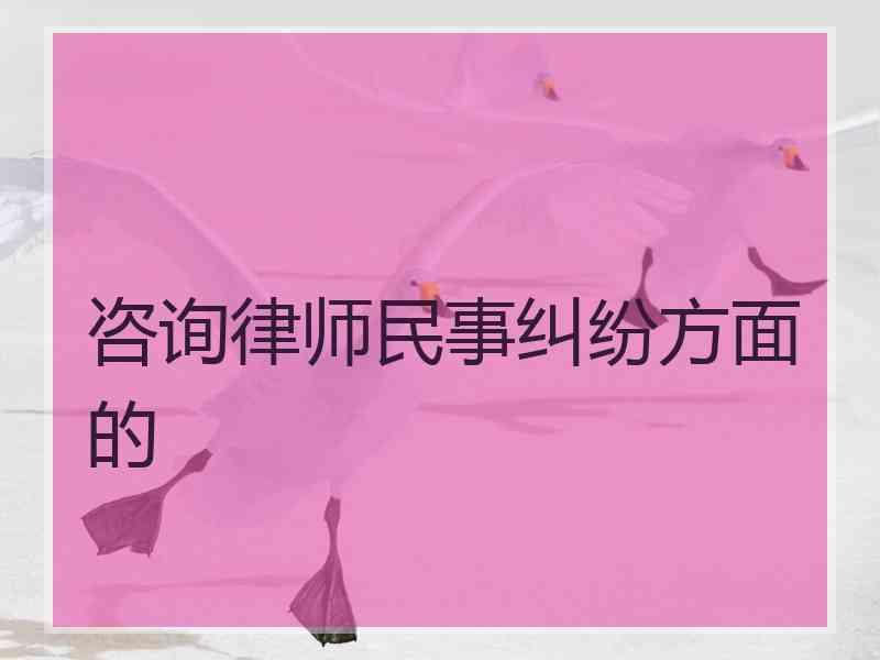 咨询律师民事纠纷方面的