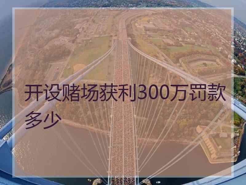 开设赌场获利300万罚款多少