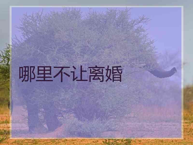 哪里不让离婚