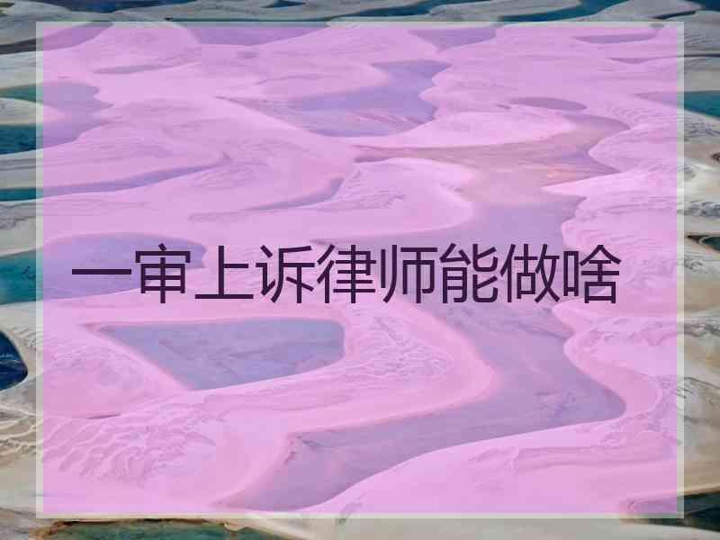 一审上诉律师能做啥