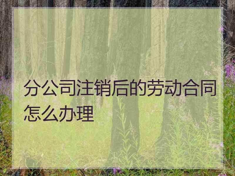 分公司注销后的劳动合同怎么办理