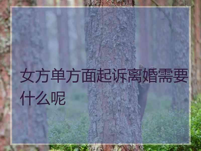 女方单方面起诉离婚需要什么呢