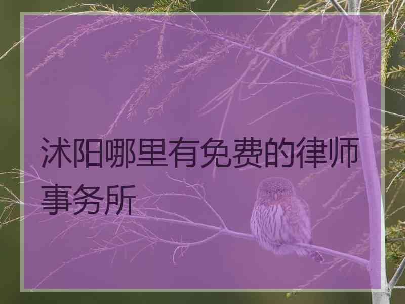 沭阳哪里有免费的律师事务所