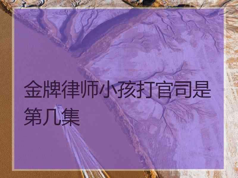 金牌律师小孩打官司是第几集