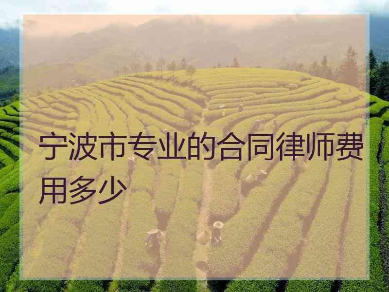 宁波市专业的合同律师费用多少