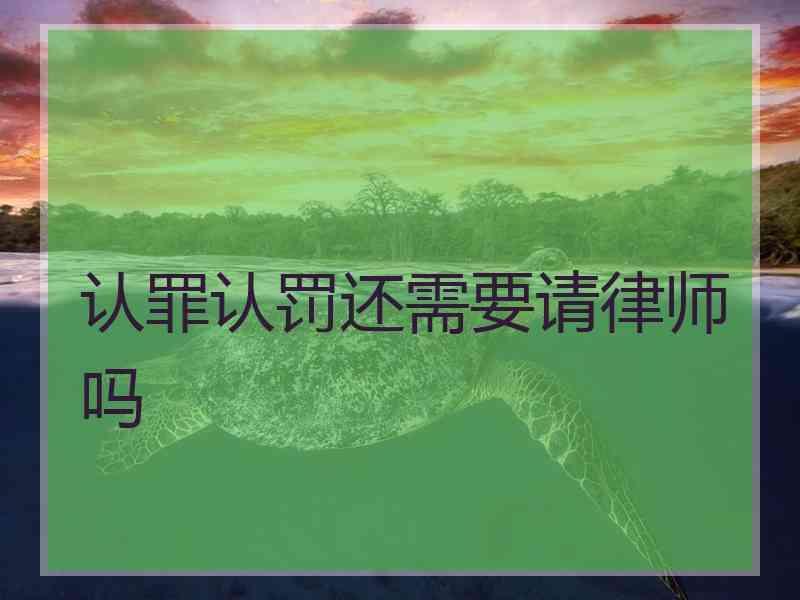 认罪认罚还需要请律师吗