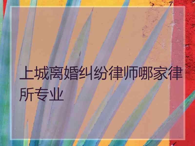 上城离婚纠纷律师哪家律所专业 上城离婚纠纷律师哪家律所专业
