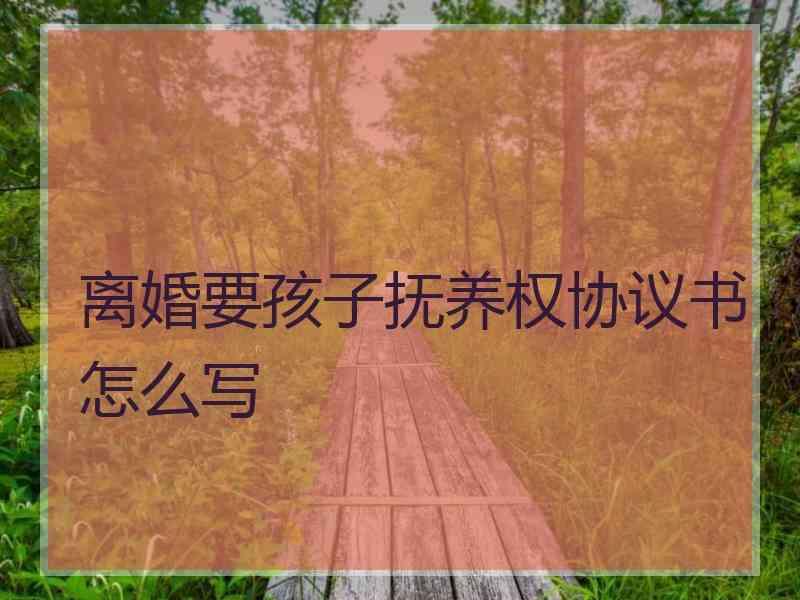 离婚要孩子抚养权协议书怎么写