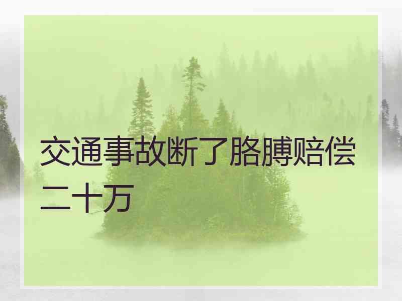 交通事故断了胳膊赔偿二十万