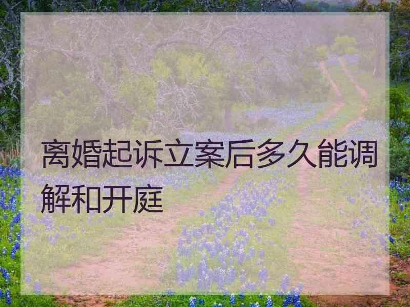 离婚起诉立案后多久能调解和开庭