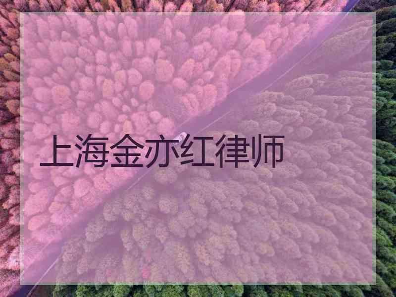 上海金亦红律师