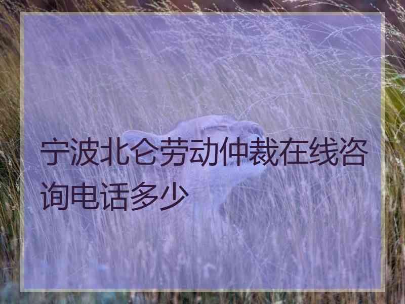 宁波北仑劳动仲裁在线咨询电话多少