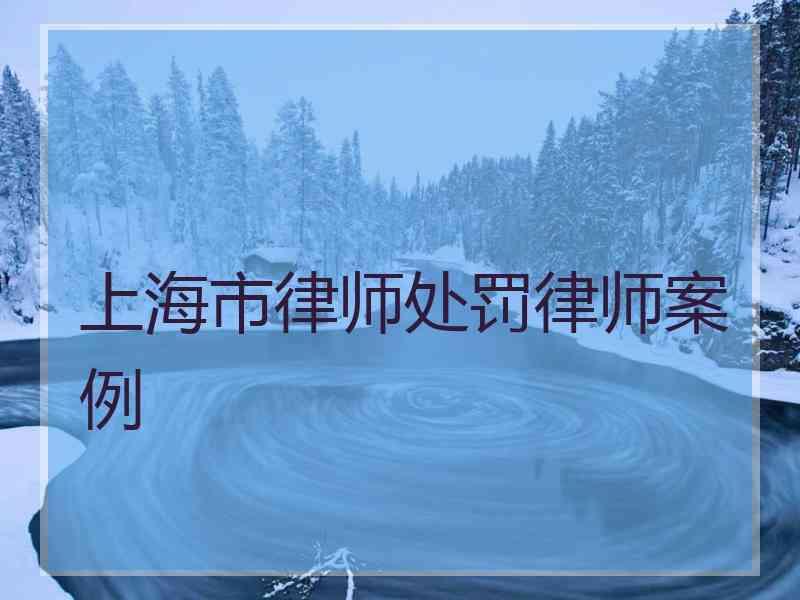 上海市律师处罚律师案例
