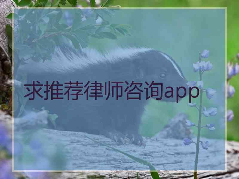 求推荐律师咨询app