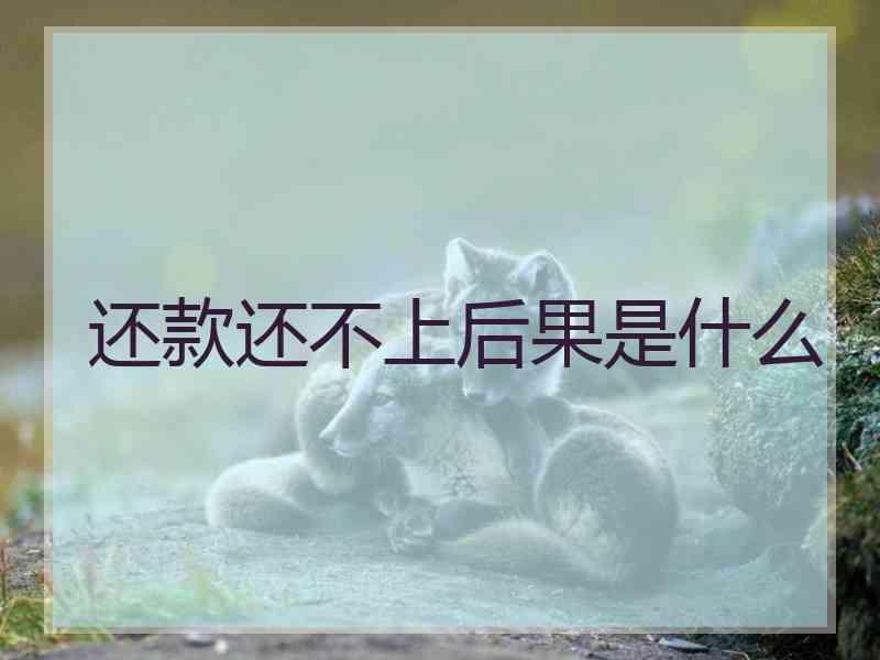 还款还不上后果是什么