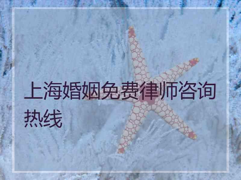 上海婚姻免费律师咨询热线