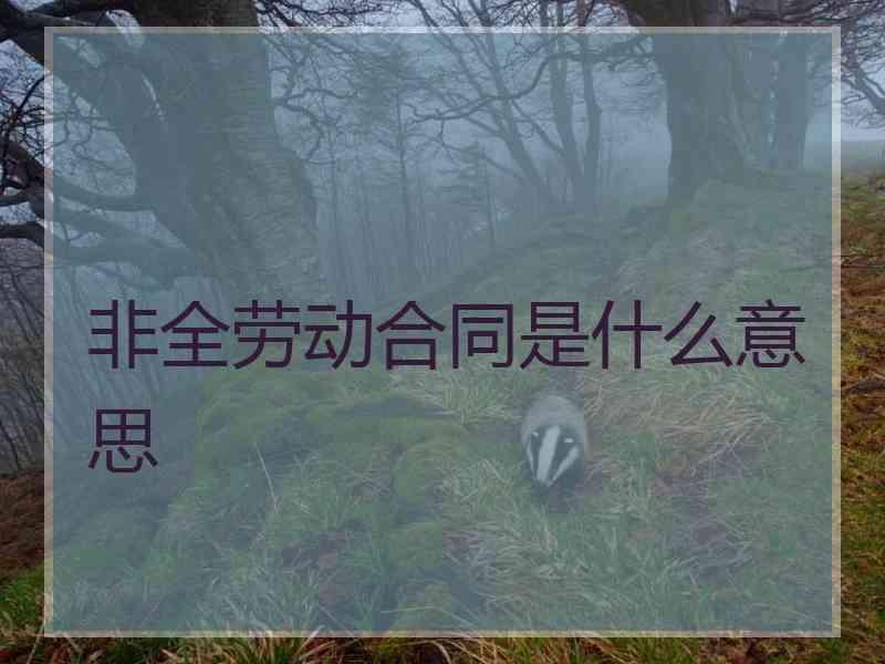 非全劳动合同是什么意思