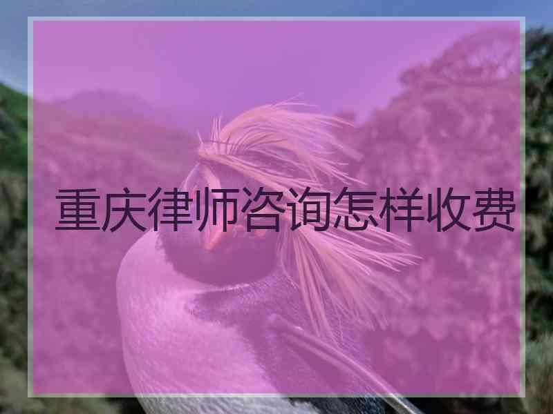 重庆律师咨询怎样收费