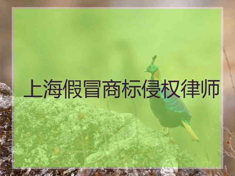 上海假冒商标侵权律师