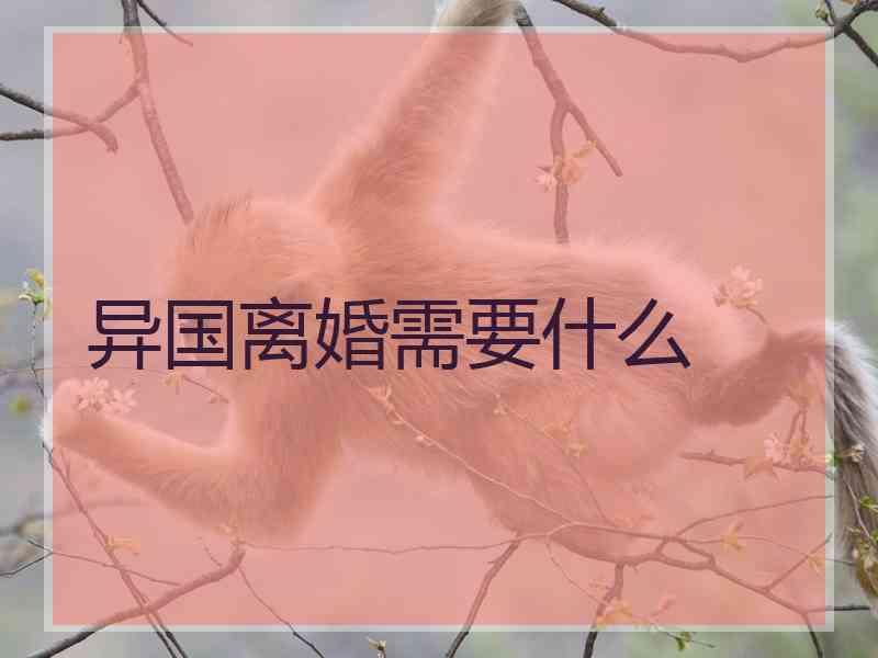 异国离婚需要什么