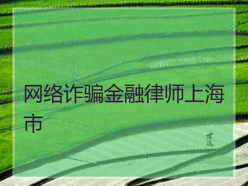 网络诈骗金融律师上海市