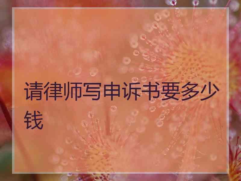 请律师写申诉书要多少钱