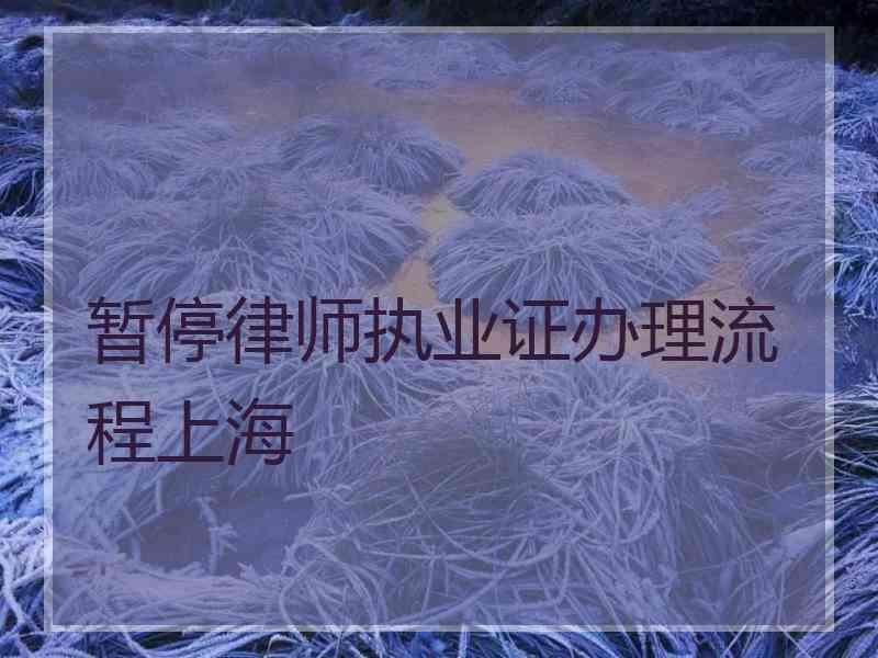 暂停律师执业证办理流程上海