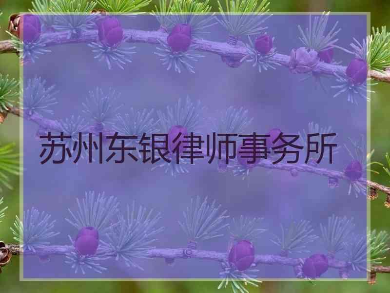 苏州东银律师事务所